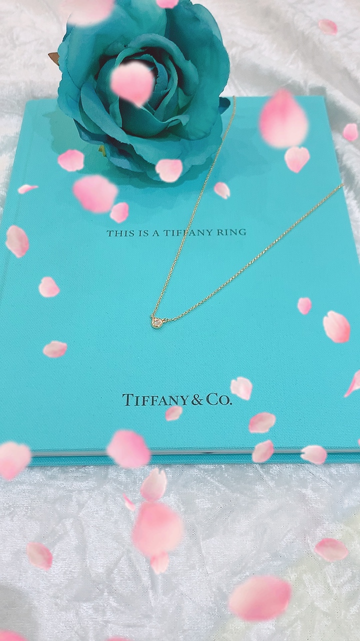 身に付けていると恋が叶う そんなジンクスのあるtiffany Co ティファニー のバイザヤードネックレスの人気に迫る 愛知 岐阜の質屋かんてい局 春日井 公式 岐阜 愛知の質 ブランド品の買取 販売なら質屋かんてい局