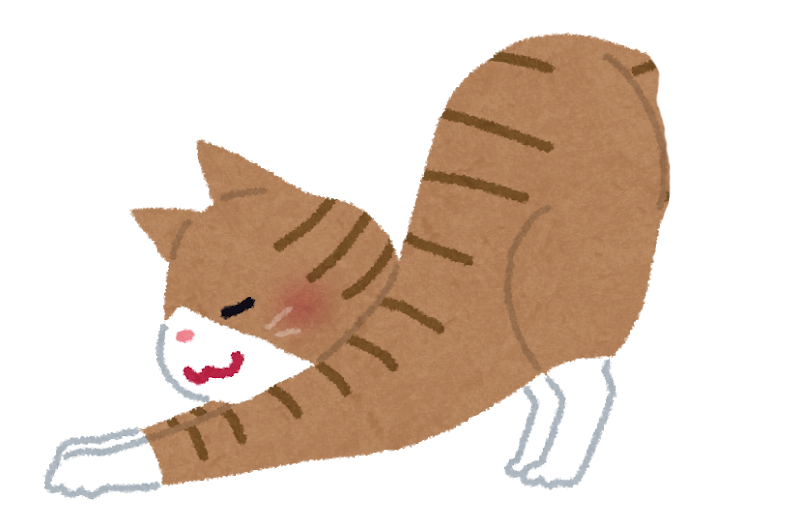 思わず集めたくなるマン島キャットコインを使用したジュエリーの紹介 小牧店 公式 岐阜 愛知の質 ブランド品の買取 販売なら質屋かんてい局