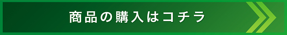 ルイヴィトン 廃盤 アマゾン 大人気のショルダーバッグが入荷 実際のサイズ感 使い勝手についてご紹介 細畑 公式 岐阜 愛知の質 ブランド品の買取 販売なら質屋かんてい局